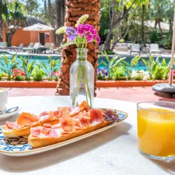 Huerto del Cura - Elche