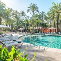 Huerto del Cura - Elche