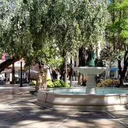 La Glorieta Park - Elche