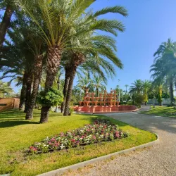 Palmeral of Elche - Elche
