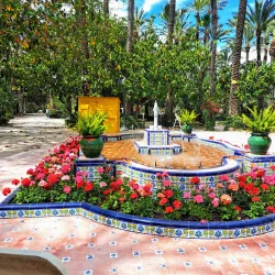 Palmeral of Elche - Elche