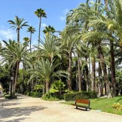 Palmeral Visitor Center - Elche