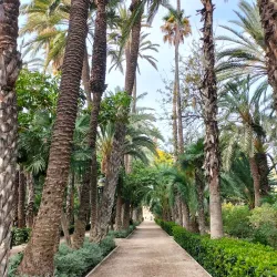Palmeral Visitor Center - Elche