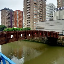 Local Festivals and Cultural Events - Errenteria