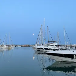 Estepona Marina - Estepona