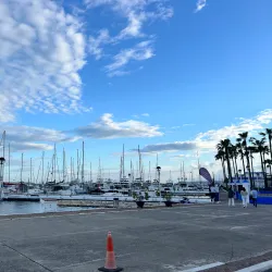 Estepona Marina - Estepona