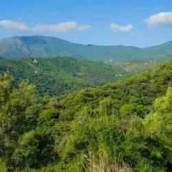 Los Reales de Sierra Bermeja Natural Area - Estepona