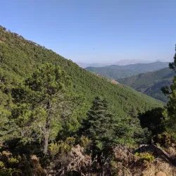Los Reales de Sierra Bermeja Natural Area - Estepona