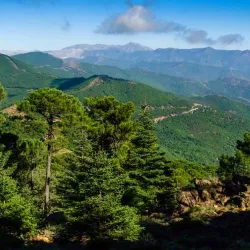 Los Reales de Sierra Bermeja Natural Area - Estepona