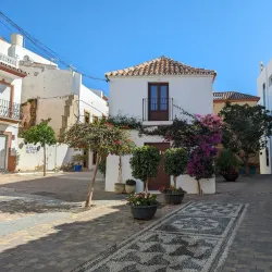 Museo Arqueológico de Estepona - Estepona