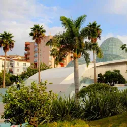 Orchidarium Estepona - Estepona