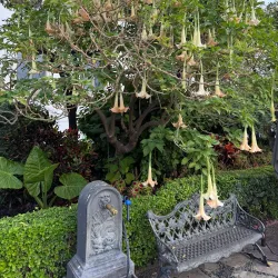 Plaza de las Flores - Estepona