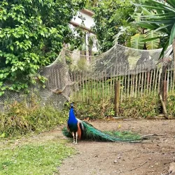 Selwo Aventura - Estepona