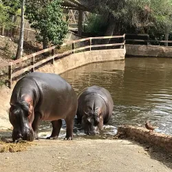 Selwo Aventura - Estepona