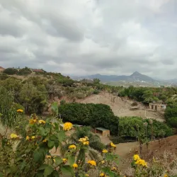 Selwo Aventura - Estepona