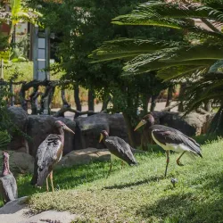 Bioparc Fuengirola - Fuengirola