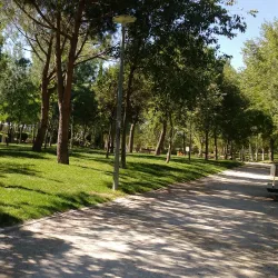 Parque de la Solidaridad - Fuenlabrada