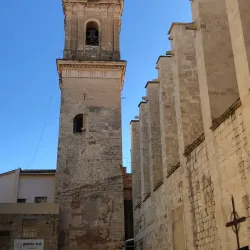 Col·legiata de Santa Maria (Collegiate Basilica of Santa Maria) - Gandia