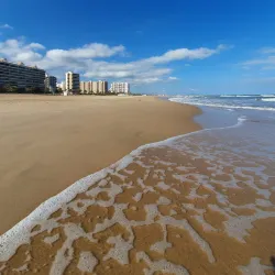 Gandia Beach (Playa de Gandia) - Gandia