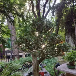 La Casa de Cultura Marqués de González de Quirós - Gandia