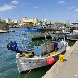 Museu de la Mar (Museum of the Sea) - Gandia