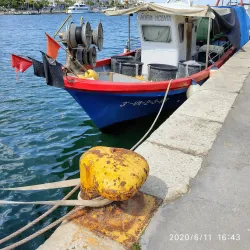 Museu de la Mar (Museum of the Sea) - Gandia