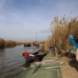 Parc Natural de l'Albufera de Valencia - Gandia