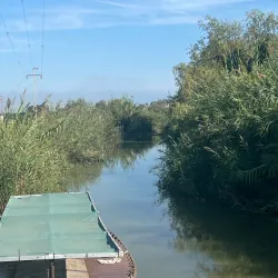 Parc Natural de l'Albufera de Valencia - Gandia