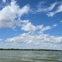Parc Natural de l'Albufera de Valencia - Gandia
