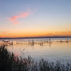 Parc Natural de l'Albufera de Valencia - Gandia