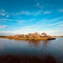 Parc Natural de l'Albufera de Valencia - Gandia
