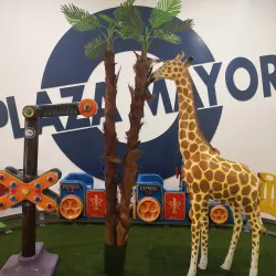 Plaza Mayor de Gandia - Gandia