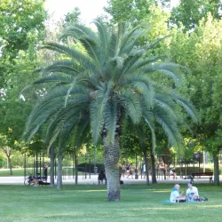 Parque de Castilla-La Mancha - Getafe