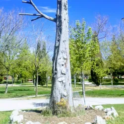 Parque de Castilla-La Mancha - Getafe