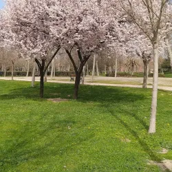 Parque de Castilla-La Mancha - Getafe