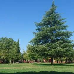Parque de Castilla-La Mancha - Getafe