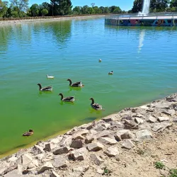 Parque de la Alhóndiga - Getafe
