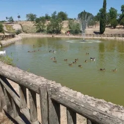 Parque de la Alhóndiga - Getafe