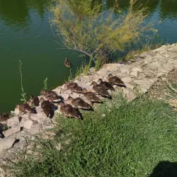 Parque de la Alhóndiga - Getafe