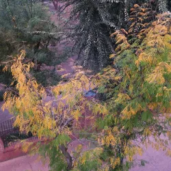 Parque Lorenzo Azofra - Getafe