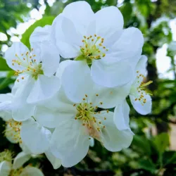 Parque Lorenzo Azofra - Getafe