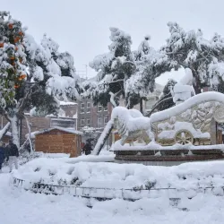 Plaza General Palacio - Getafe