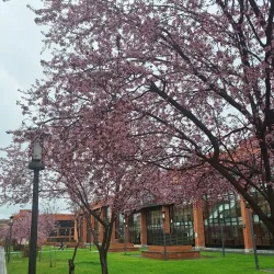 Universidad Carlos III de Madrid - Getafe Campus - Getafe