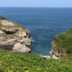 Elogio del Horizonte - Gijon