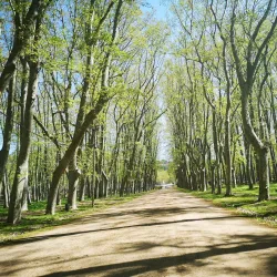 Parc de la Devesa - Girona