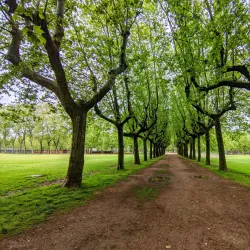 Parc de la Devesa - Girona