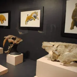 Museum of Guadalajara - Guadalajara