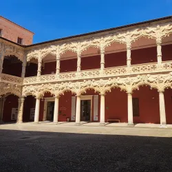 Palacio del Infantado - Guadalajara