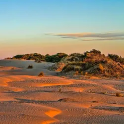 Parque Nacional de Doñana - Huelva