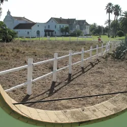 Parque Nacional de Doñana - Huelva